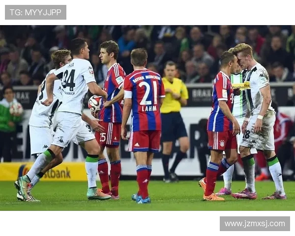 德甲球队盈利能力分析：哪些俱乐部实现了财政正增长？